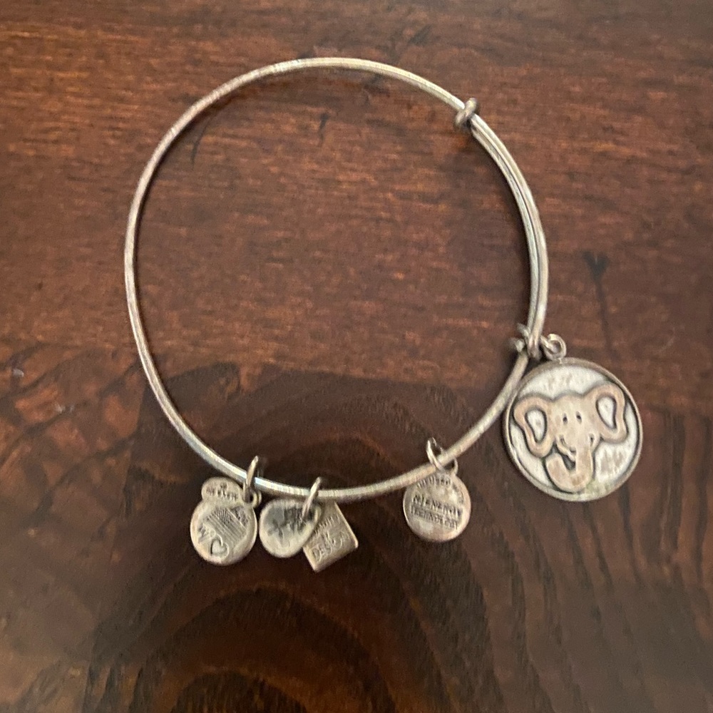 Alex and Ani Elephant Silver Charm Bracelet adjustable Bangle boho glam
